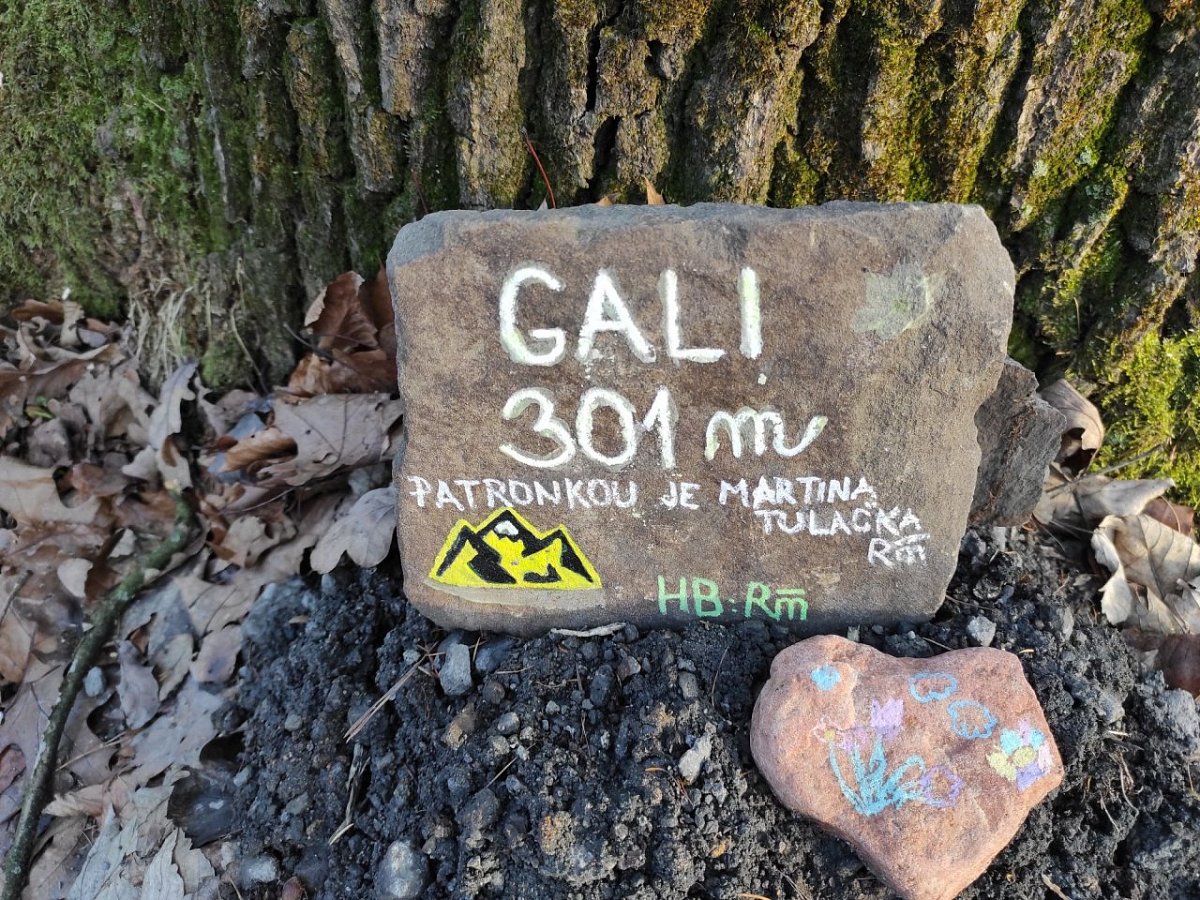 Gali (301&nbsp;m)