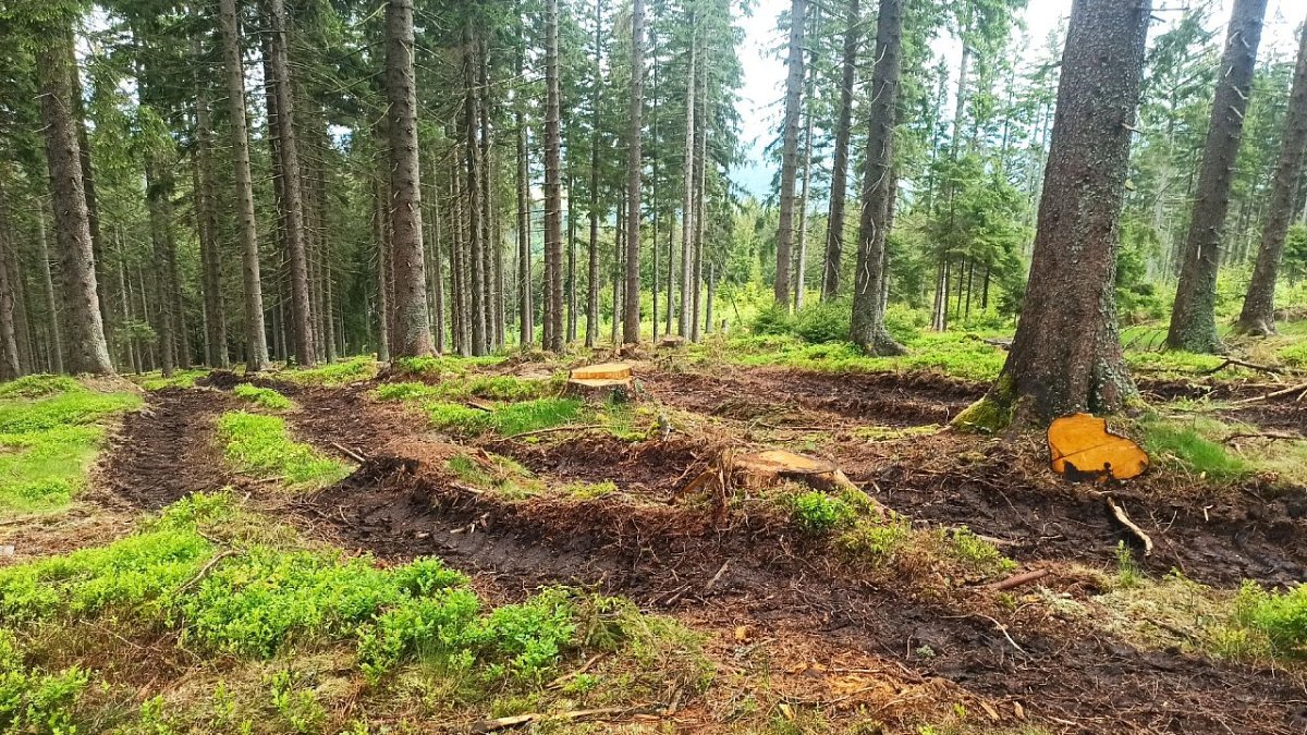 Kochánovský vrch (1004&nbsp;m)