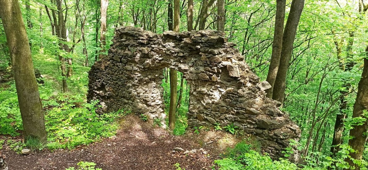Kyšperk - zřícenina (467&nbsp;m)