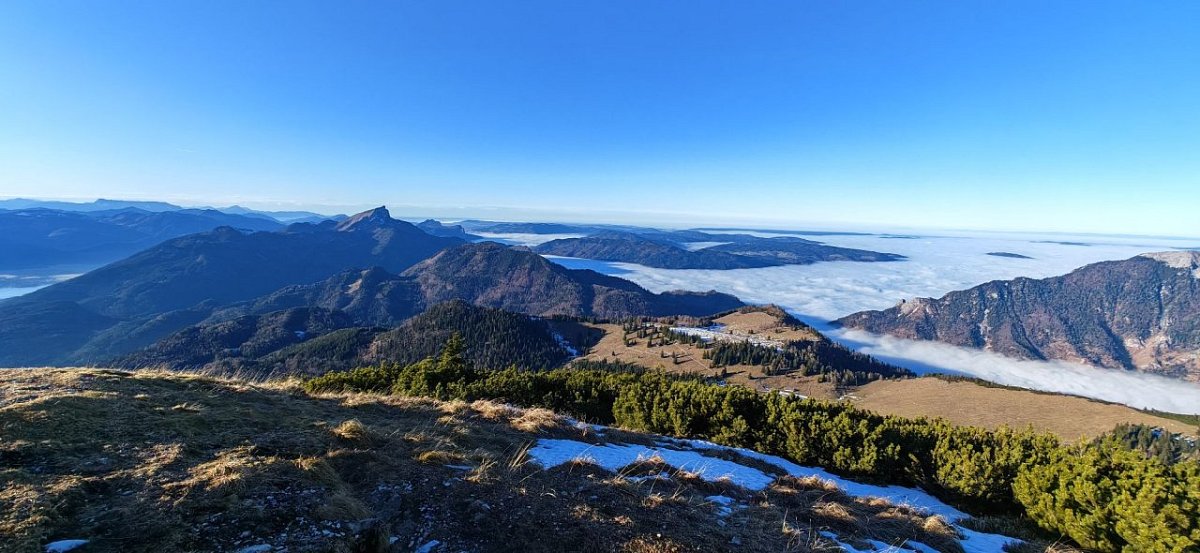 Leonsberg (1745&nbsp;m)