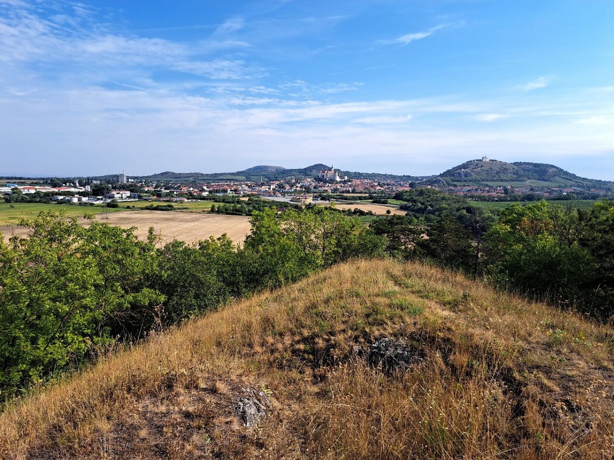 Šibeniční vrch (238&nbsp;m)