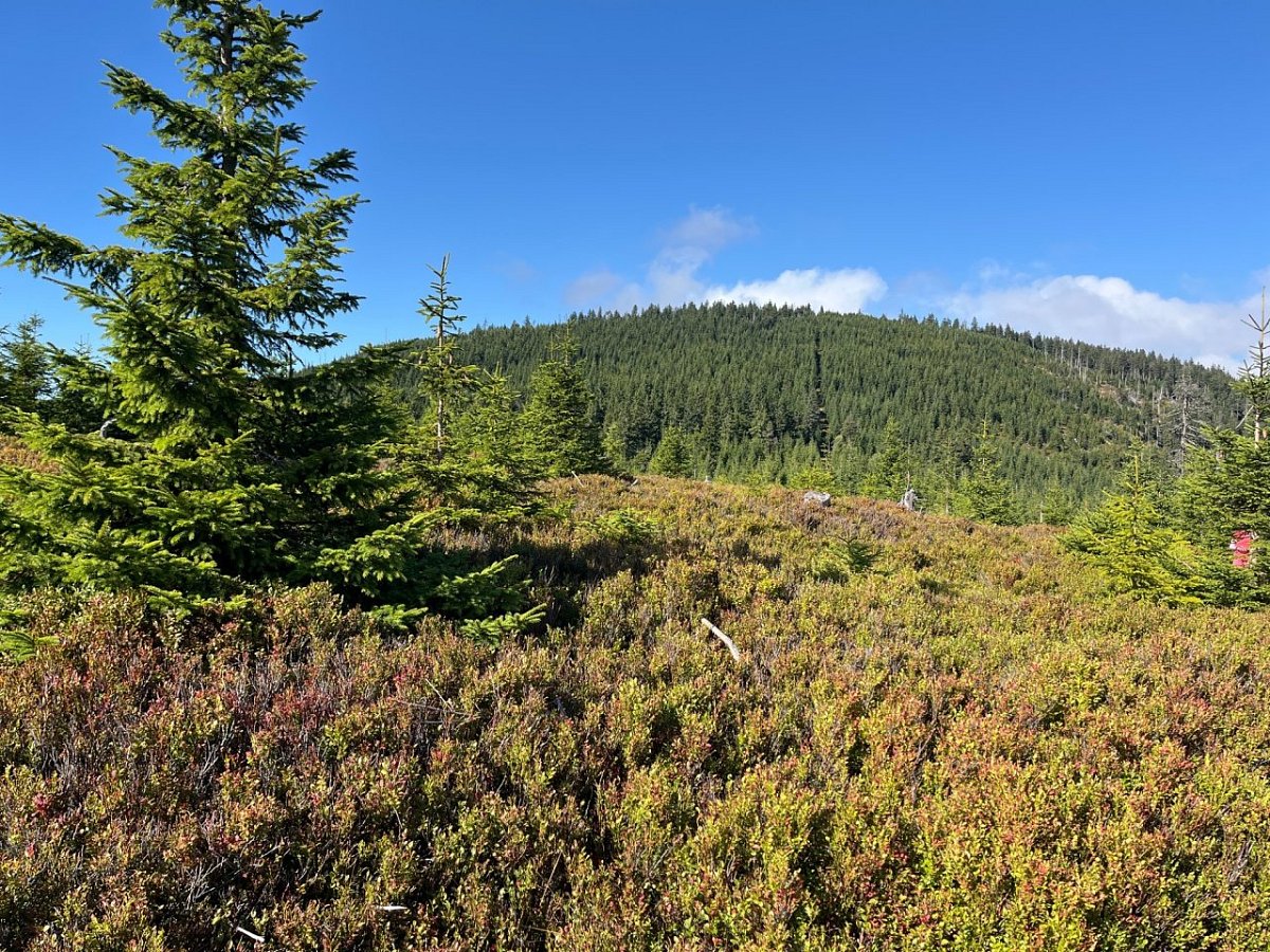 Klínová hora (1180&nbsp;m)