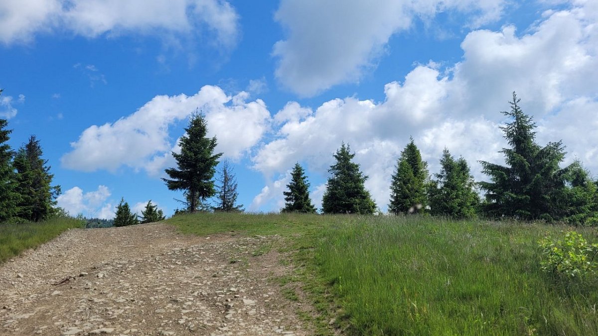 Bukowina Waksmundzka (1103&nbsp;m)
