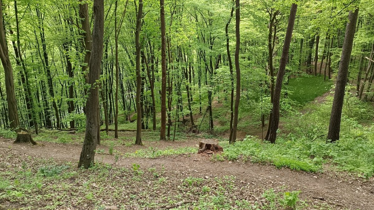 Čertův hrádek (373&nbsp;m)