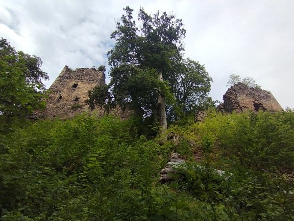 Rýzmburk