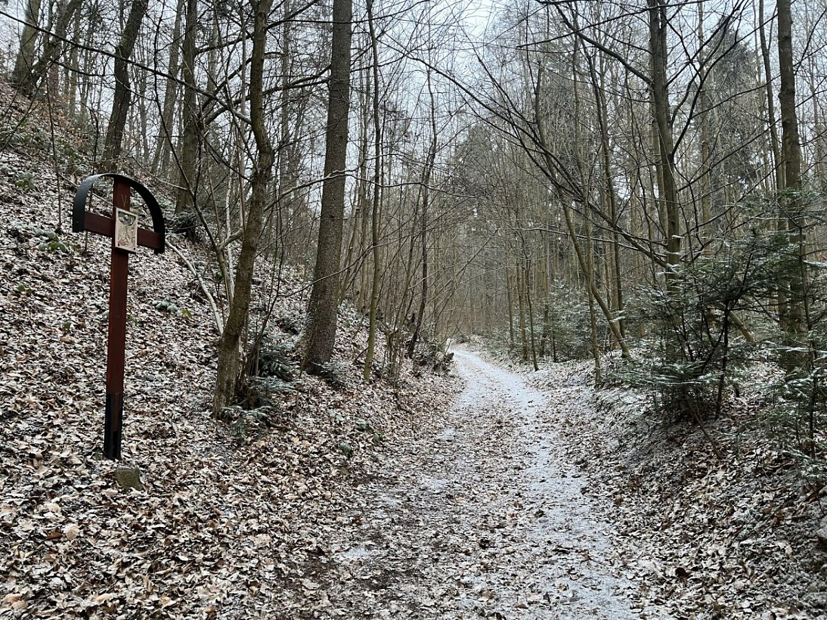 Kartouzka (310&nbsp;m)