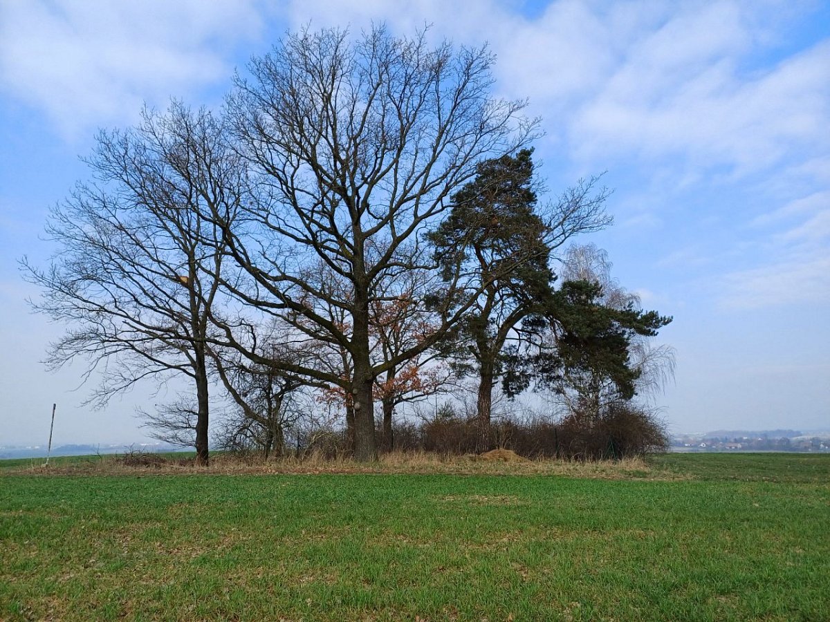Chmelnice (283 m)