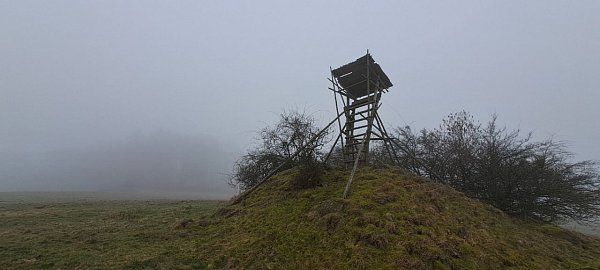 Vystrý