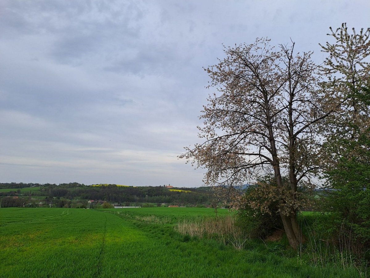 Písečný vrch (312 m)