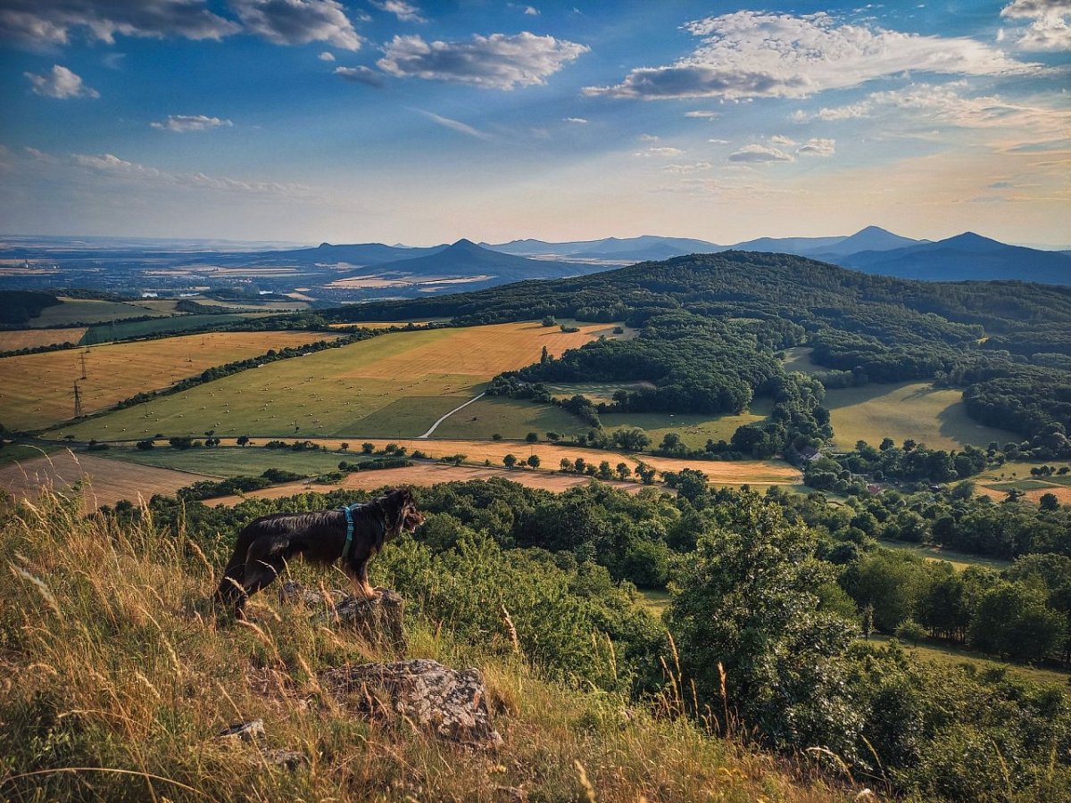 Hradiště (545&nbsp;m)