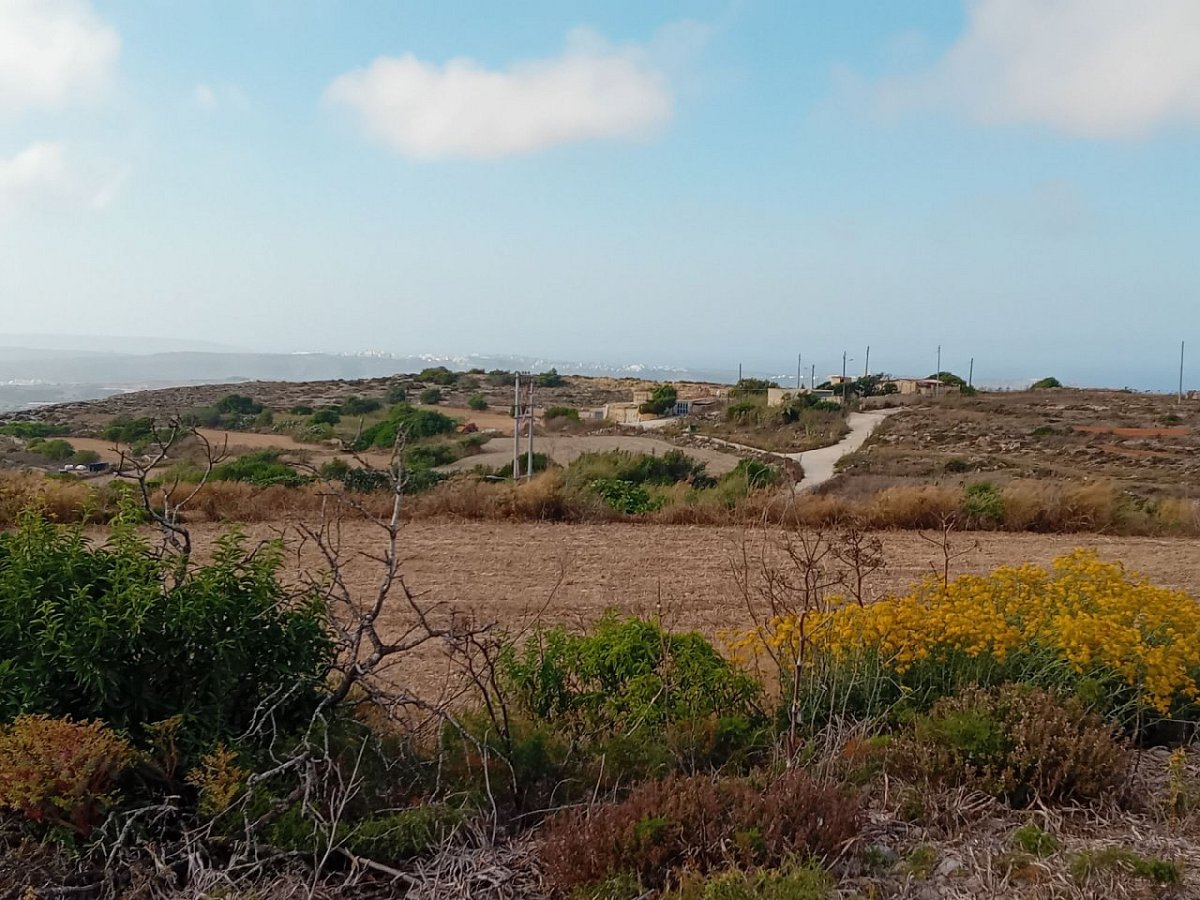 Nadur (239&nbsp;m)