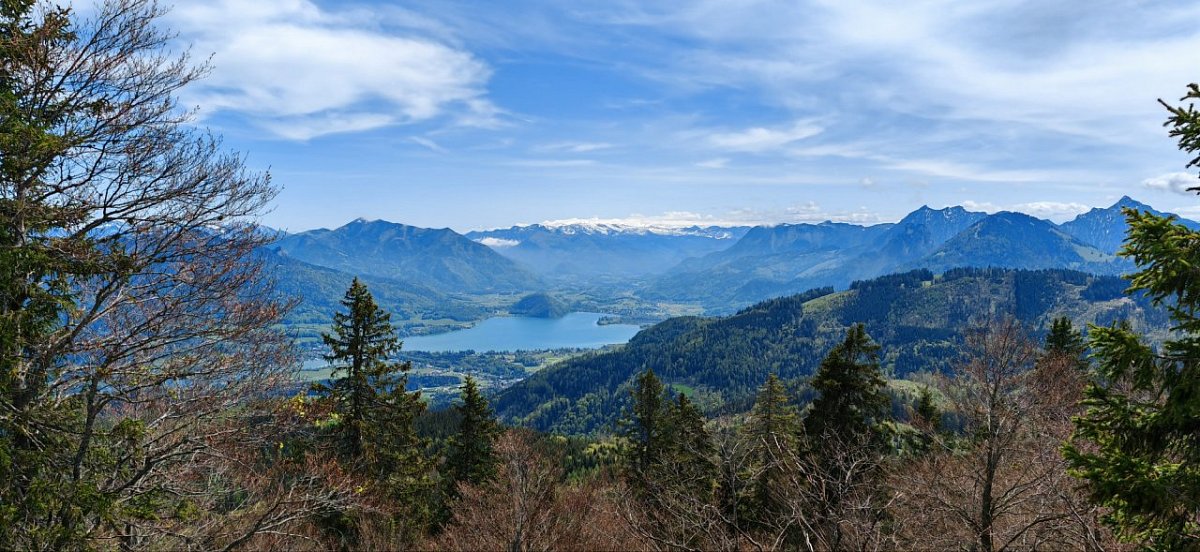Spitzeck (1355&nbsp;m)
