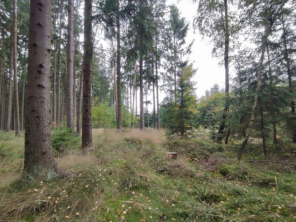 Panský vrch