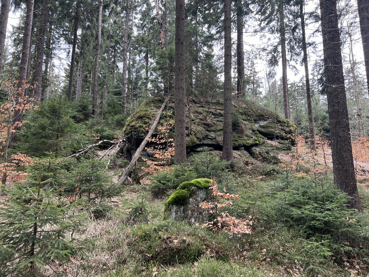 Kamenný vrch (819&nbsp;m)