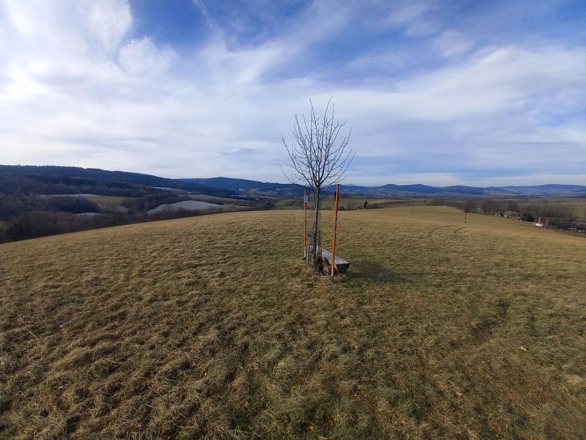 Na Ovčím vrchu (638&nbsp;m)