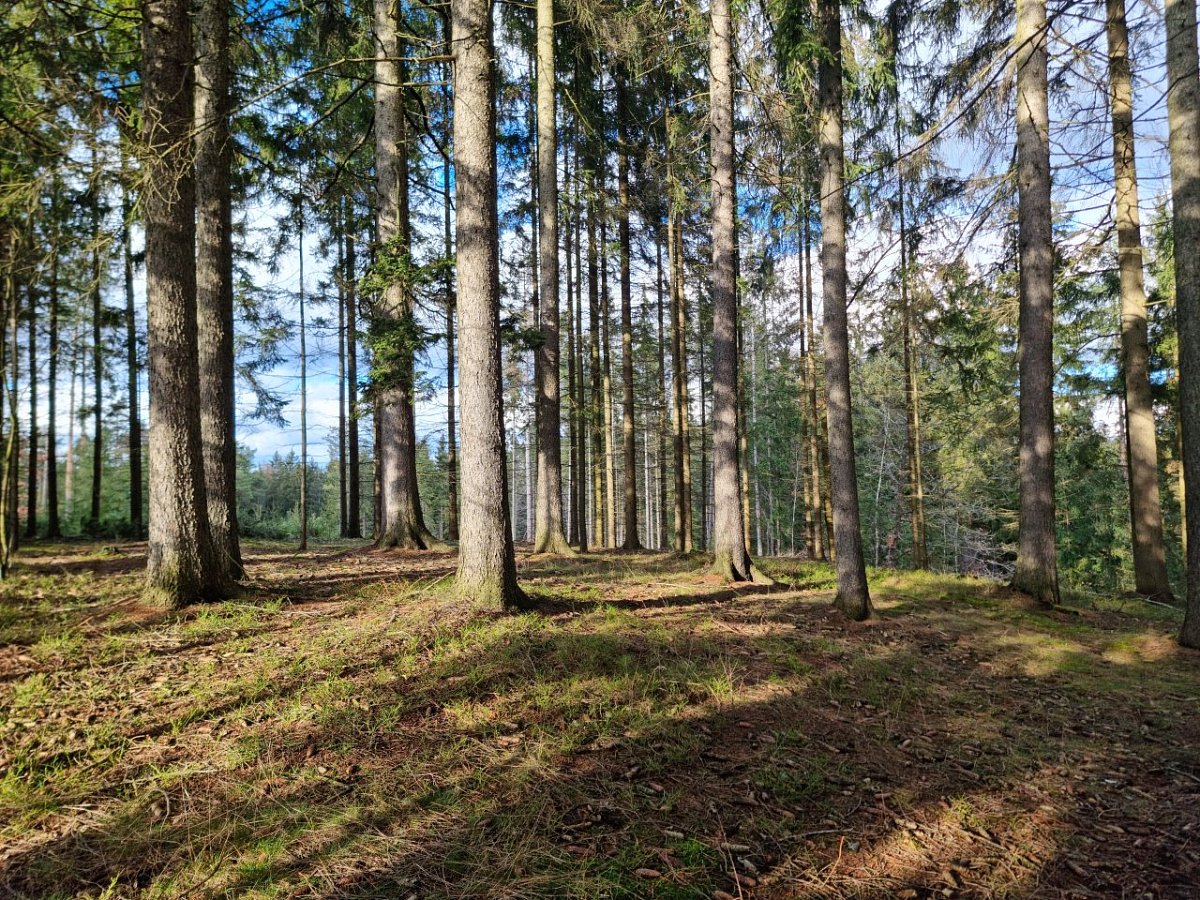 Fagi (495 m)