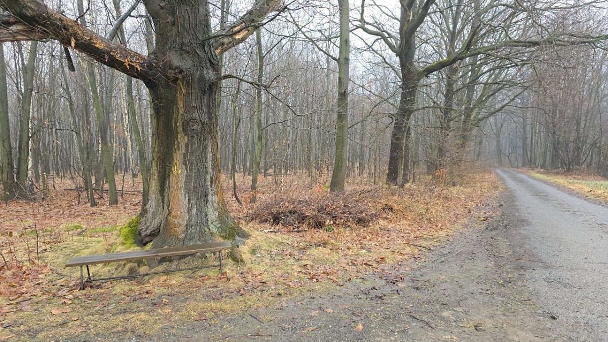 Šachťák (277&nbsp;m)