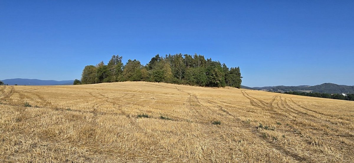 Homůlka (333&nbsp;m)
