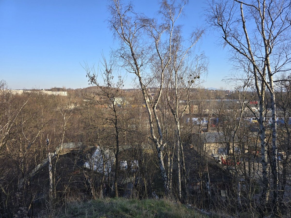 Halda Hubert (231 m)