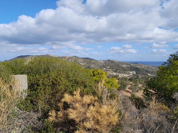 Κουσούλι