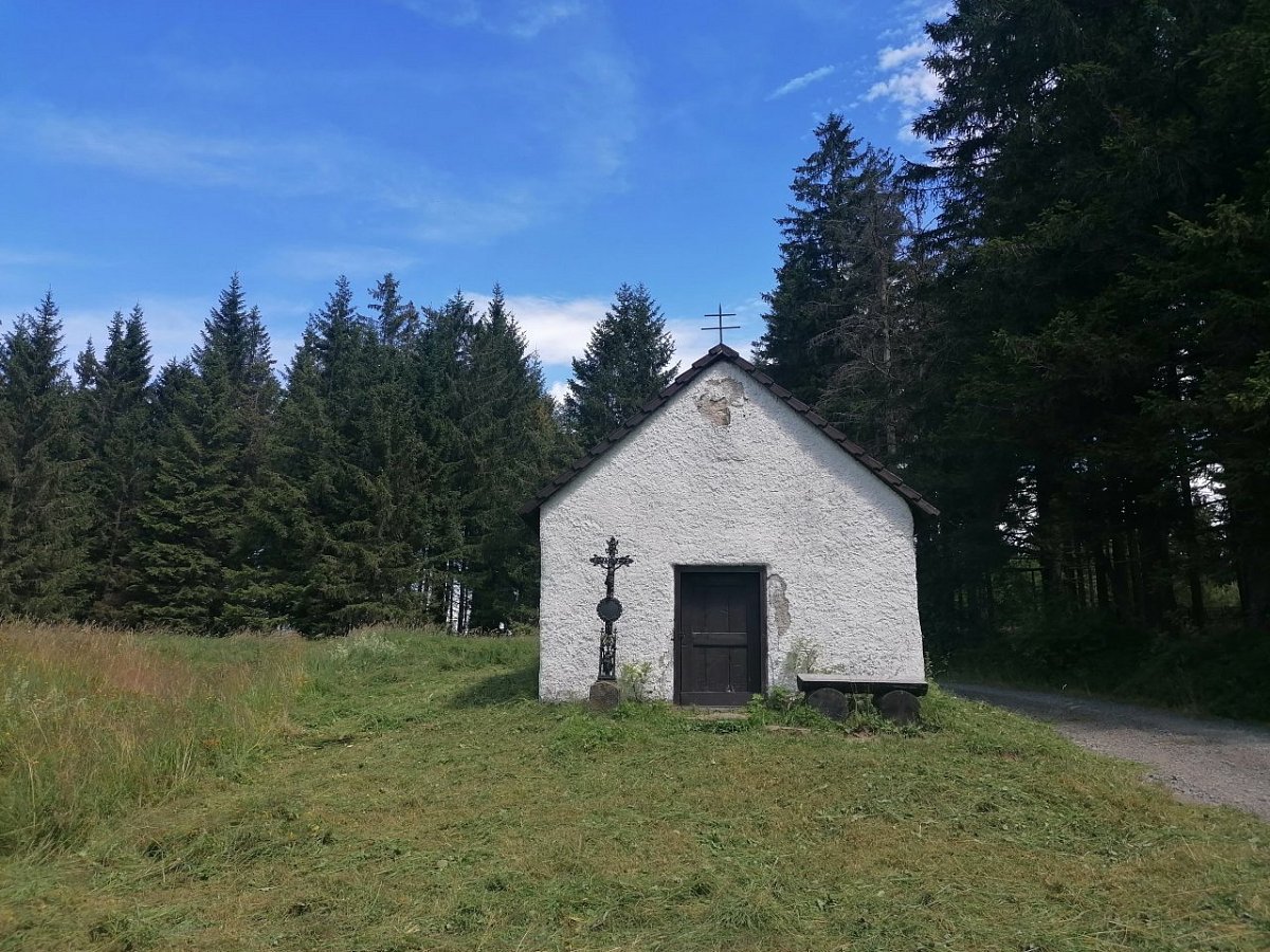 Na Suchých Studánkách (1088&nbsp;m)