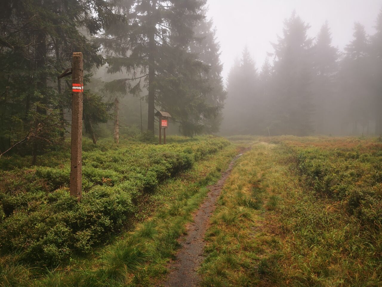 Jivina / Iwinka
