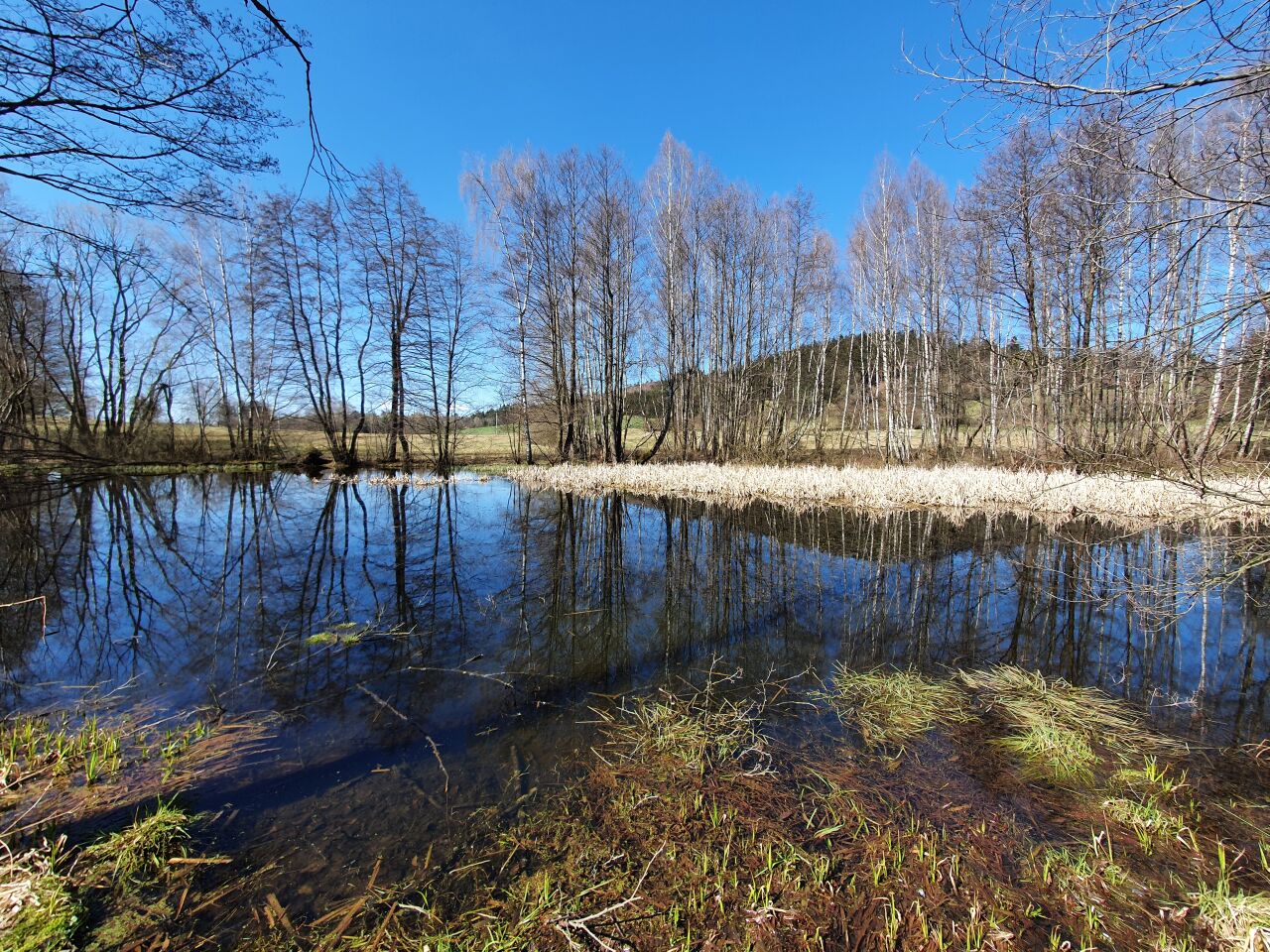 Drkolná