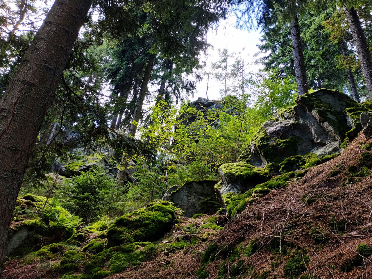 Na Skalce