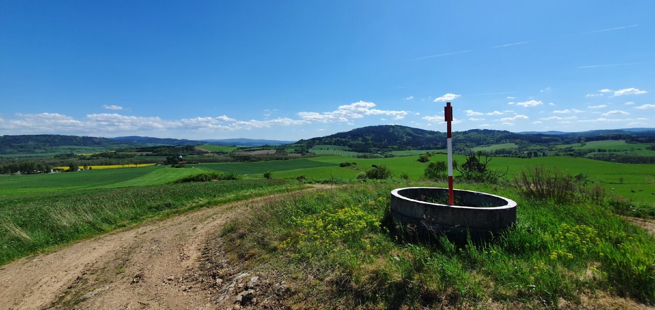 Březina